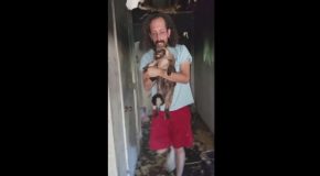 Cat Rescued From Burned House