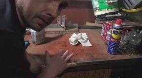 Guy Tries Marijuana to Remove a Stain That Harsh Chemical Cleaners Cannot