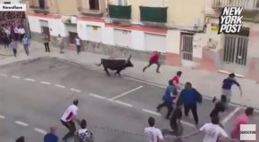 Running of the Bulls Participant Gets a Real @ss-Whupping