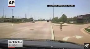 Officer Grabs Toddler from Side of Busy Road