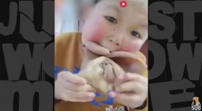 The Chinese Boy Who Eats Anything that Moves – Freaky Eaters