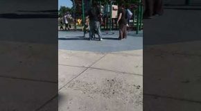 Woman Kicks Boy After Encouraging Kids to Fight