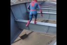 Spiderman in Real Life
