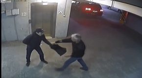 Retired Major Apprehends Knife-Wielding Thief in an Elevator