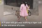 This 9 Year Old Chinese Girl Went Out For a Walk With Her Pet Tiger