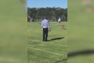 Kangaroo Family Invade Children’s Soccer Match