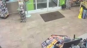 Beavers Stop Into Cumberland Farms Store