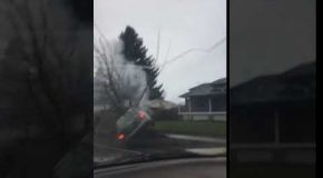 Car Stuck in Tree After Crash