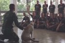 Soldier Demonstrates CPR On His Loyal Pet Dog