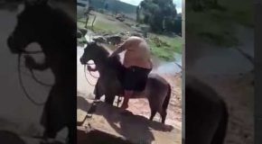Super Obese Man Tries to Ride a Horse