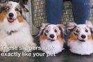 Custom Slippers Look Identical To Your Pet