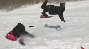 Reporter Flipped by Sled During News Report