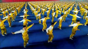 Spring Festival Gala 2019 : Powerful Chinese Martial Arts