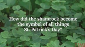 Learn About St. Patrick’s Day So You Can Annoy Your Drunk Friends With Facts
