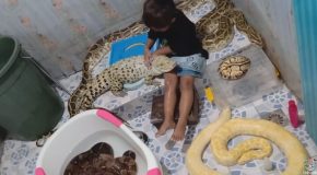 Little Girl Gives Crocodile a Bath