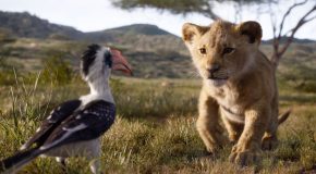 The ‘Lion King’ Official Trailer