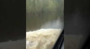Bus Driver Blasts the Perfect Song to Drive Over a Flooded Road