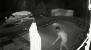 Couple Swimming In Their Pool When Attacked by a Cayman