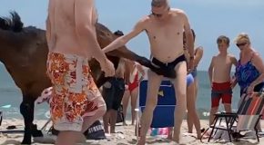 Guy in Mankini Gets Kicked in the Balls by a Horse He’s Pestering