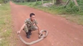 Malaysian Army Man Tames Snake