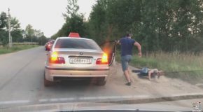 Taxi Driver In Russia Throws Passenger Out For Littering