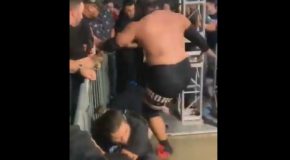Wrestler Stops A Fan From Crossing the Guardrail with Physical Violence