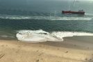 Ship Owners Charged After Giant Wake Sends Beach-goers to Hospital