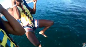 Dudes Get Dunked With Jellyfish