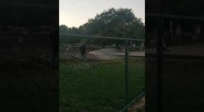 Entitled Woman in a Dog Park Argues