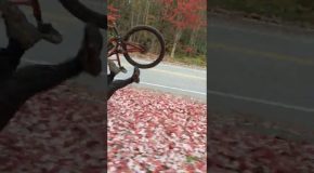 Great Cyclist Had A Fall During The Fall