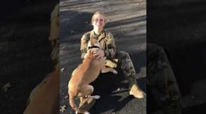Dog Takes Time To Recognize Army Personnel After She Comes Back Home