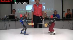 Robot Sword Fighters Going At It!