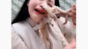 Girl Tries To Eat A Live Octopus, Octopus Gets Its Revenge