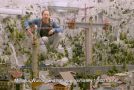 The Stuff Of Dreams : Miniatur Wunderland