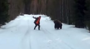 Swedish Man Scares The Living Daylights Out Of An Attacking Bear!