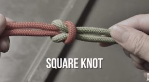 The 7 Essential Knots You Need To Know!