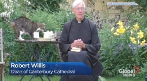 Cat Steals Milk As Dean Of Canterbury Cathedral Gives His Morning Sermon