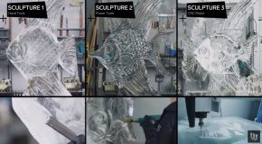 The 10 Levels Of Ice Sculpting