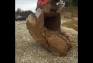Excavator Operator Saves A Deer Stuck In Mud!
