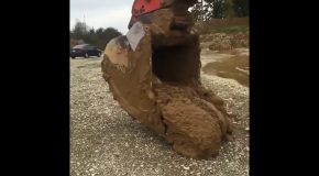 Excavator Operator Saves A Deer Stuck In Mud!