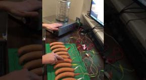 Crazy Scientist Makes A Sausage Piano!
