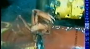 Crab Gets Sucked Into Oblivion By Underwater Pipeline