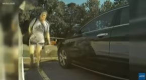 Woman Caught Keying A Tesla On Camera!