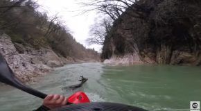Kayaker Spots Deer Drowning, Saves It!