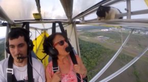 Cat Gets Caught In Two-Person Airplane And Gets A Flight!