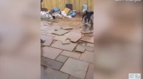 Customer Refuses To Pay, Gardens Destroy The Job They Did!