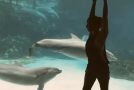 Girl Doing Gymnastics In Front Of Dolphins Makes Them Laugh!