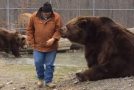 Huge Kodiak Bear Hasn’t Had Enough Of Cuddles!