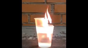What Happens When You Light A Plastic Cup On Fire With Water In It!