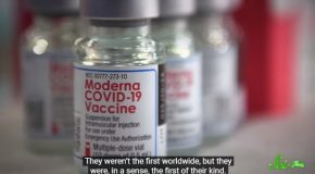 How Making The COVID mRNA Vaccine Took 50 Years To Make!